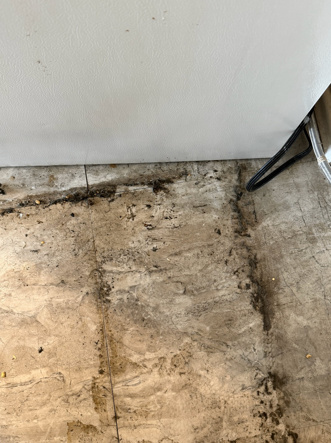 Floor behind an appliance before cleaning with heavy dirt buildup along the edges.