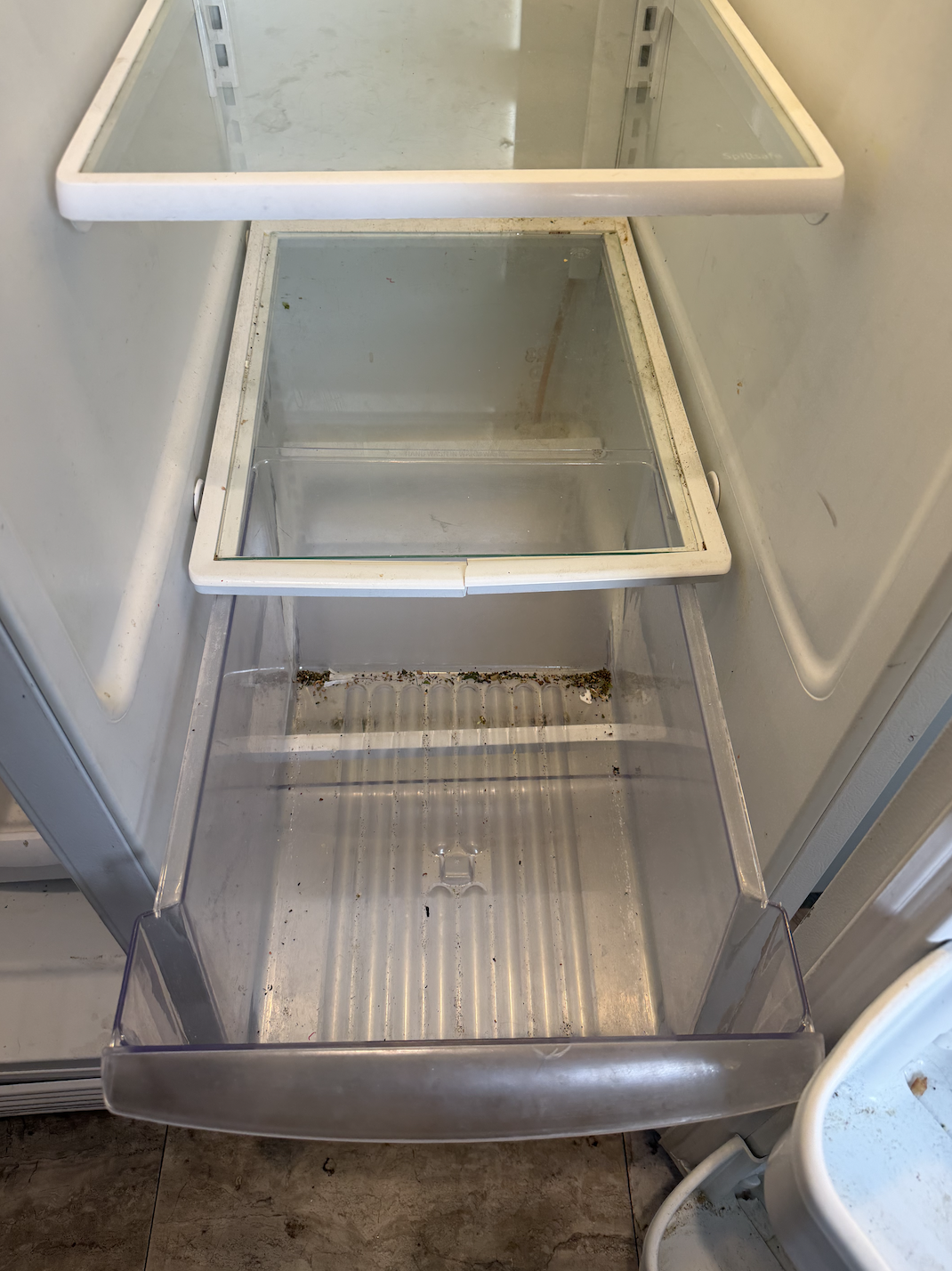 Refrigerator drawer before cleaning with crumbs and residue.